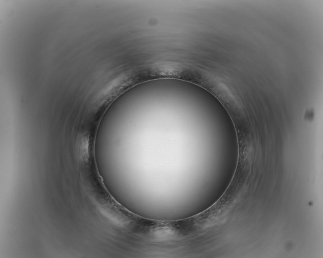 X0000091070262200708131159