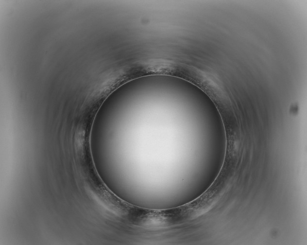 X0000091070263200708131159