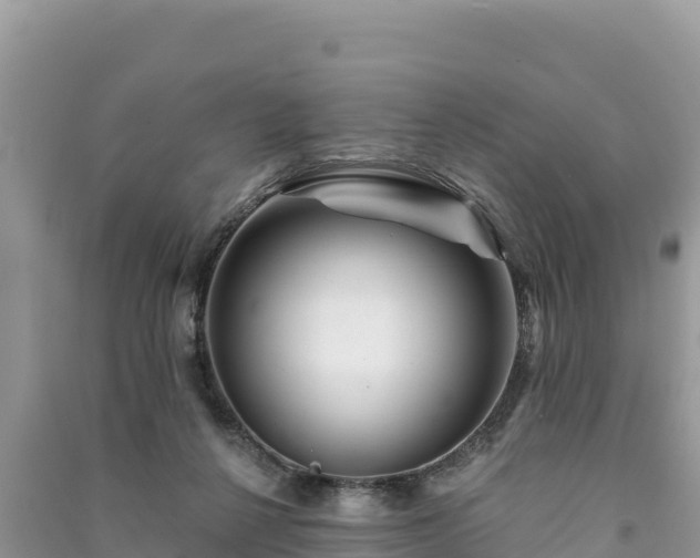 X0000091070264200708131159