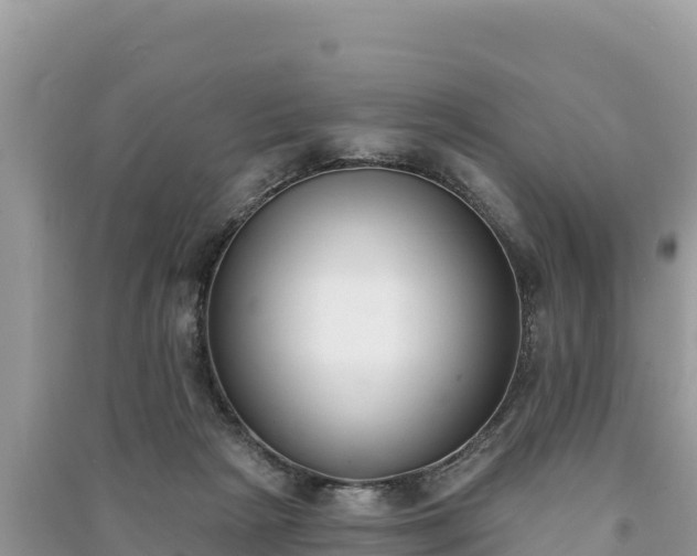 X0000091070265200708131159