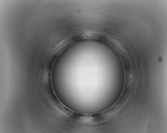 X0000091070266200708131159