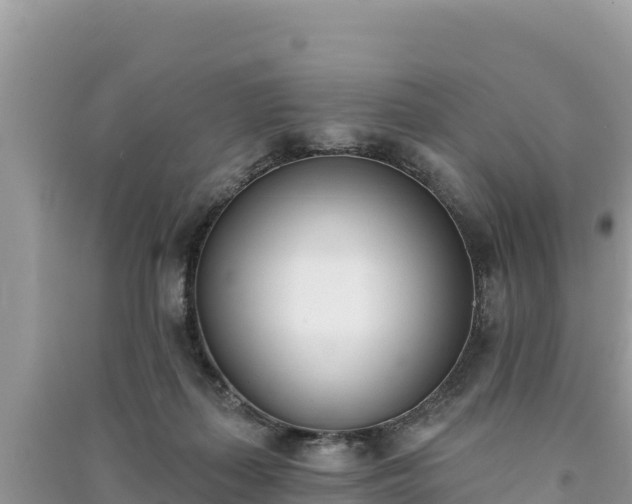X0000091070267200708131159