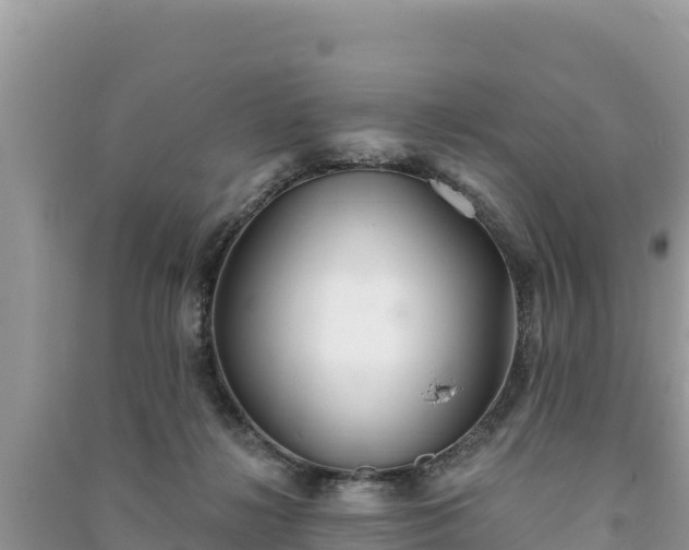 X0000091070268200708131159