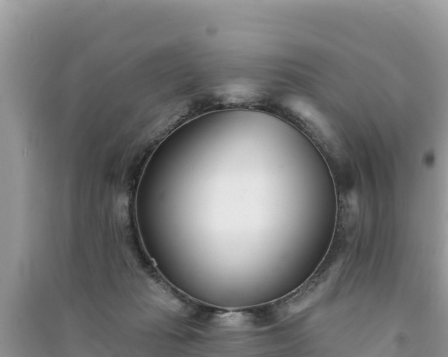 X0000091070269200708131159