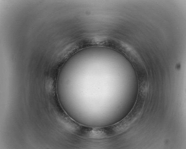 X0000091070270200708131159