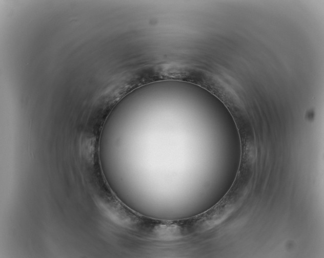 X0000091070271200708131159