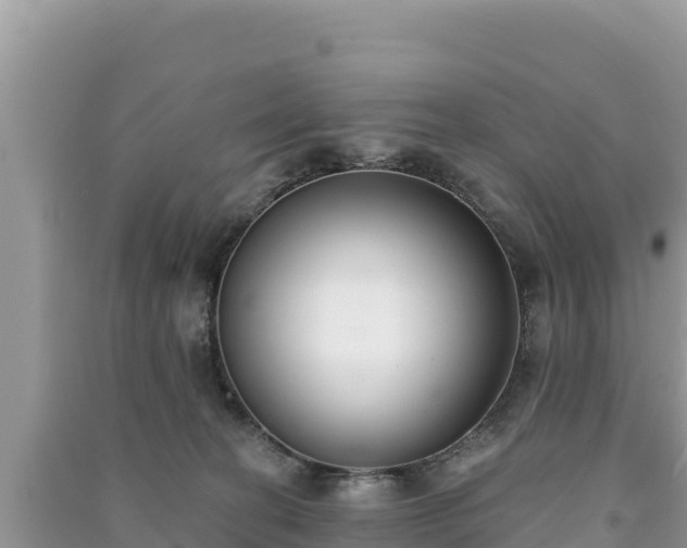X0000091070274200708131159