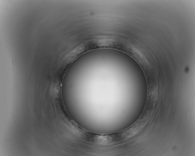X0000091070277200708131159