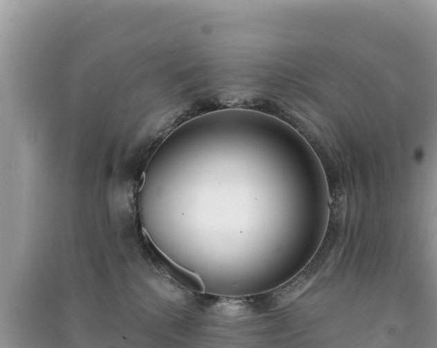 X0000091070280200708131159