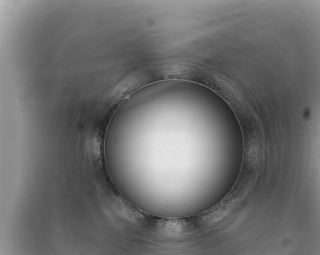 X0000091070282200708131159