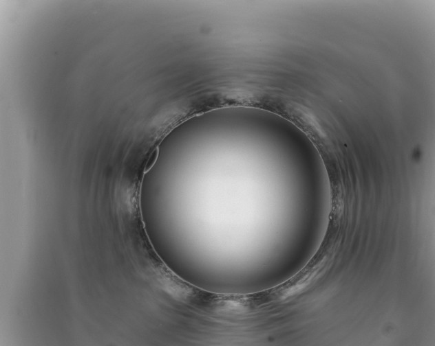 X0000091070285200708131159
