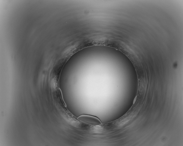 X0000091070287200708131159