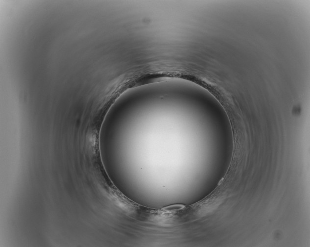 X0000091070288200708131159