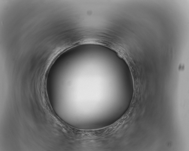 X0000091070289200708131159