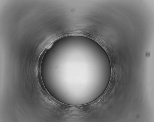 X0000091070290200708131159