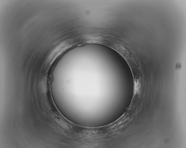 X0000091070291200708131159