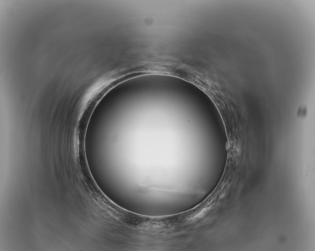 X0000091070294200708131159