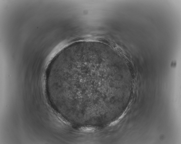 X0000091070295200708131159