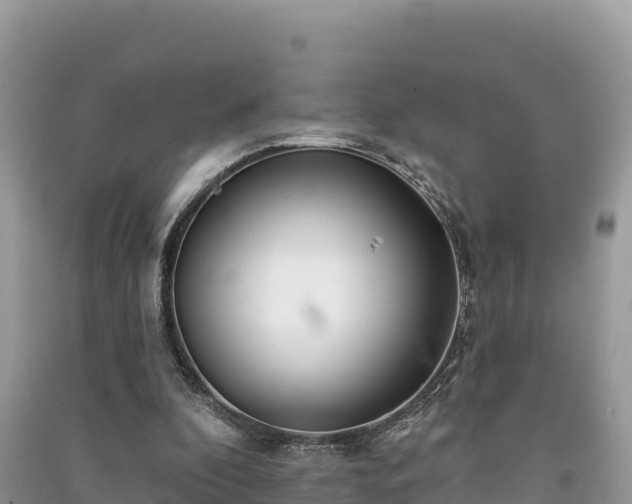 X0000091070296200708131159