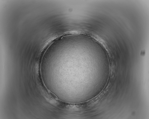 X0000091070297200708131159