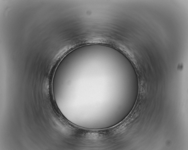 X0000091070298200708131159