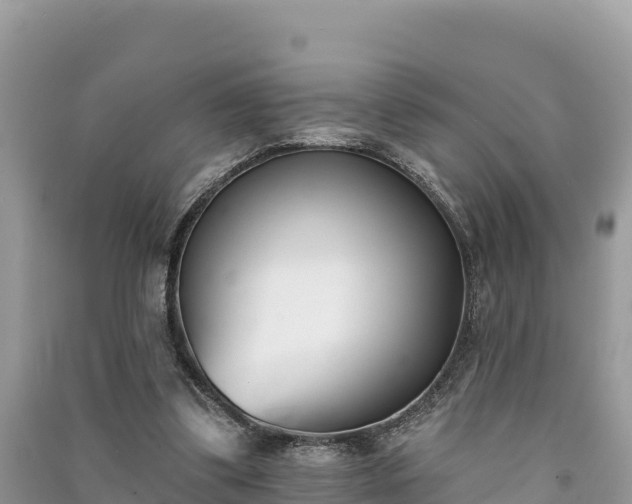 X0000091070299200708131159