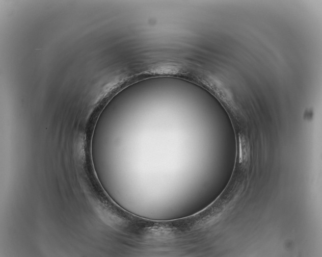 X0000091070300200708131159