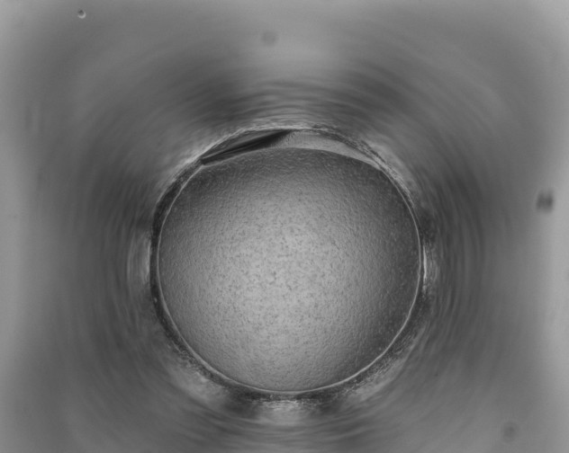X0000091070301200708131159