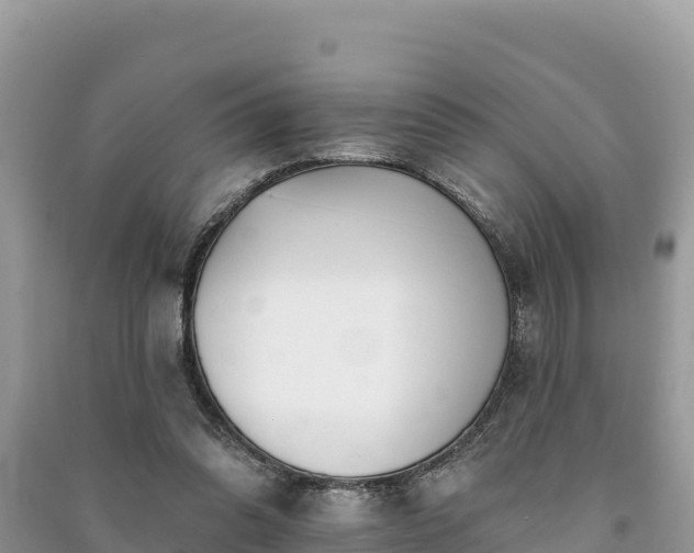 X0000091070302200708131159