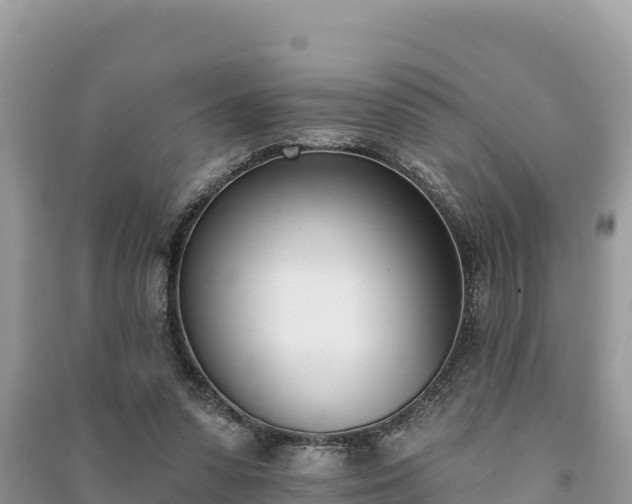 X0000091070303200708131159