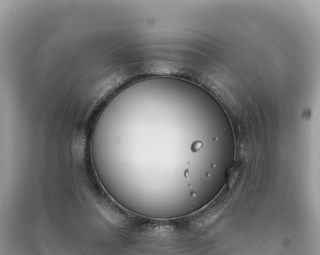 X0000091070304200708131159