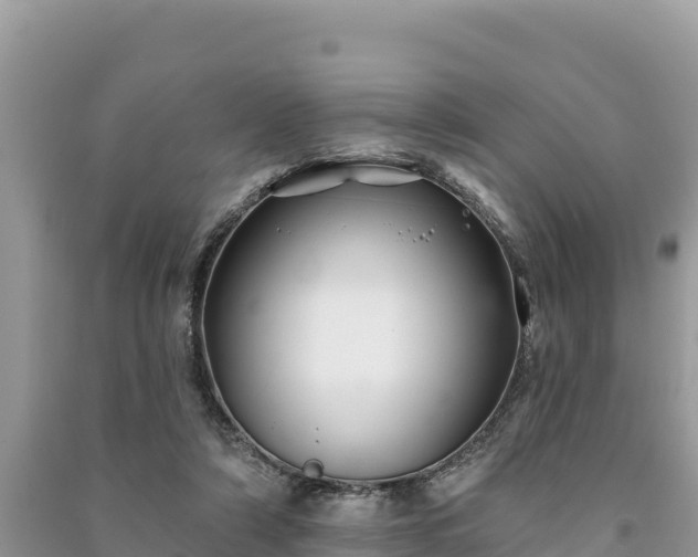 X0000091070306200708131158