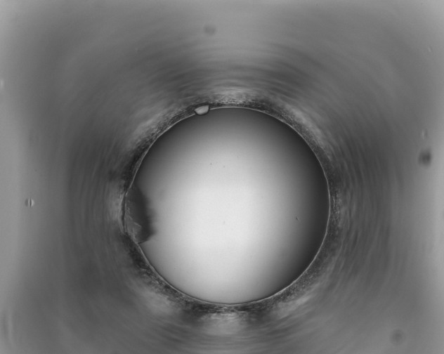 X0000091070307200708131158