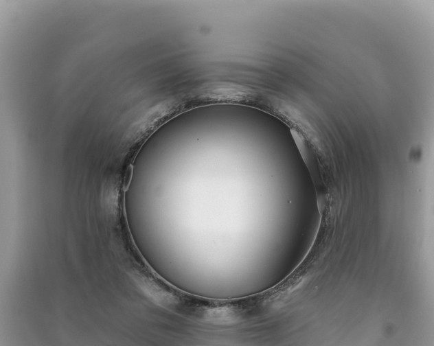 X0000091070309200708131158