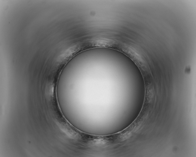 X0000091070310200708131158