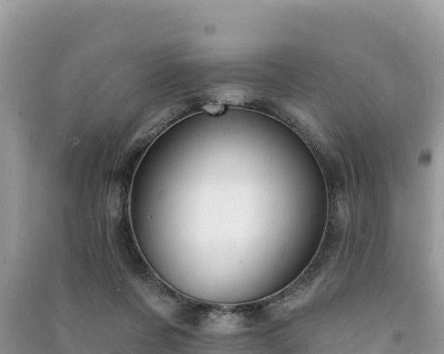 X0000091070311200708131158
