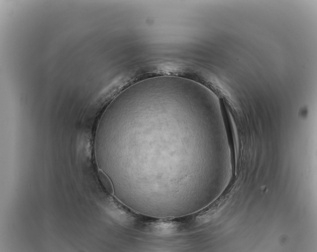 X0000091070313200708131158