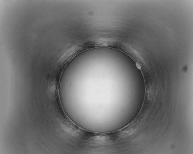 X0000091070314200708131158