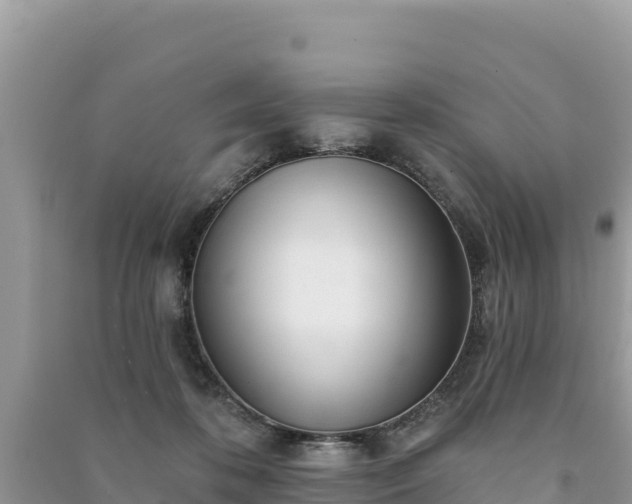 X0000091070316200708131158