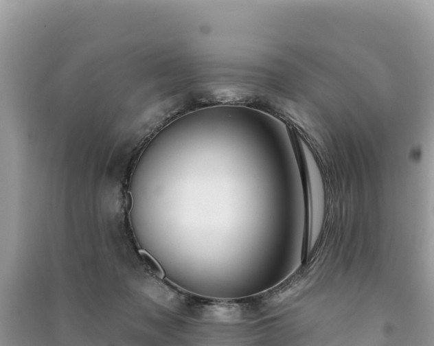 X0000091070317200708131158