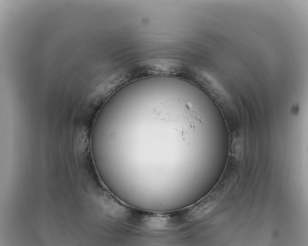 X0000091070318200708131158