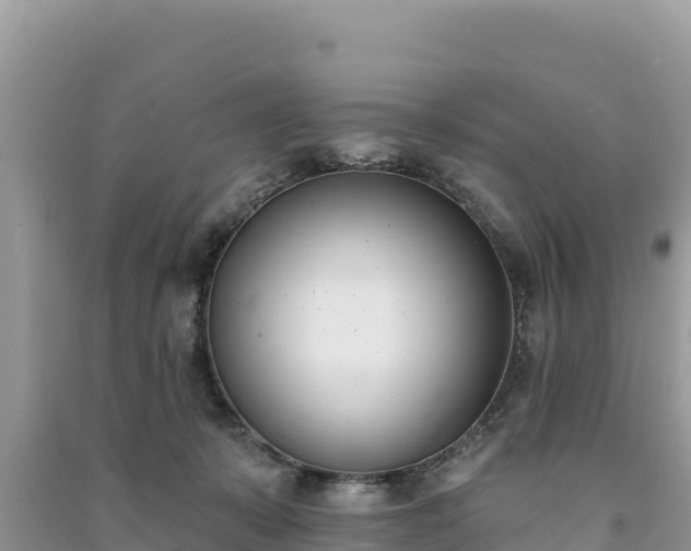 X0000091070319200708131158