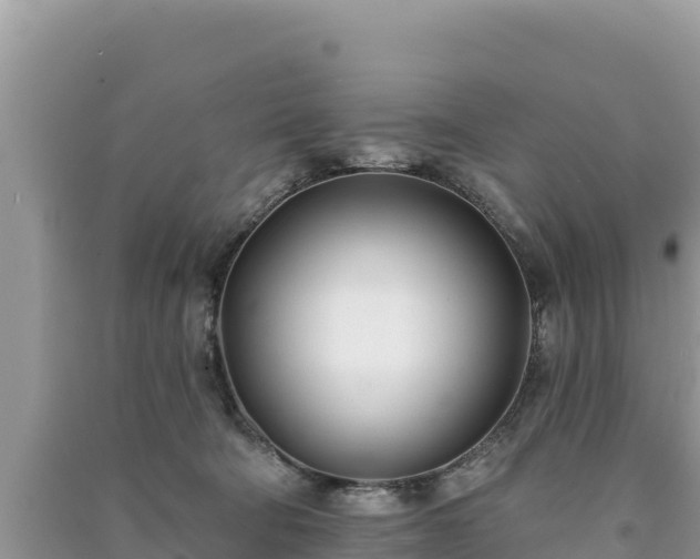 X0000091070322200708131158