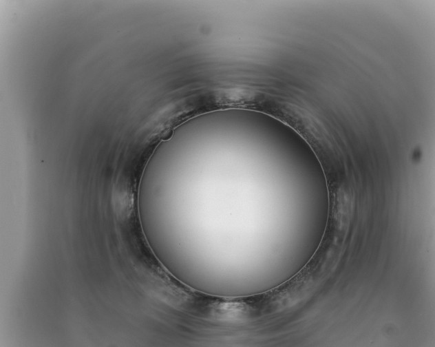 X0000091070324200708131158