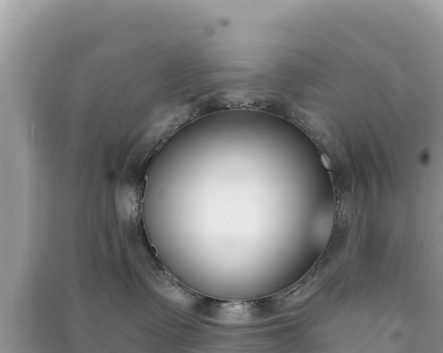 X0000091070335200708131158