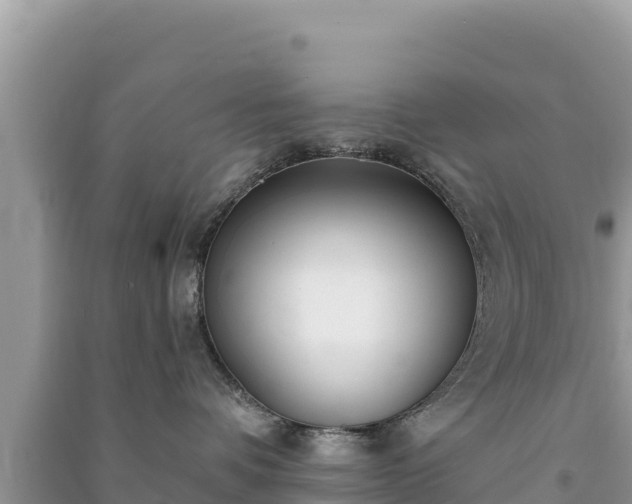 X0000091070336200708131158
