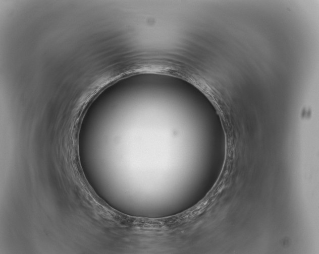 X0000091070337200708131157