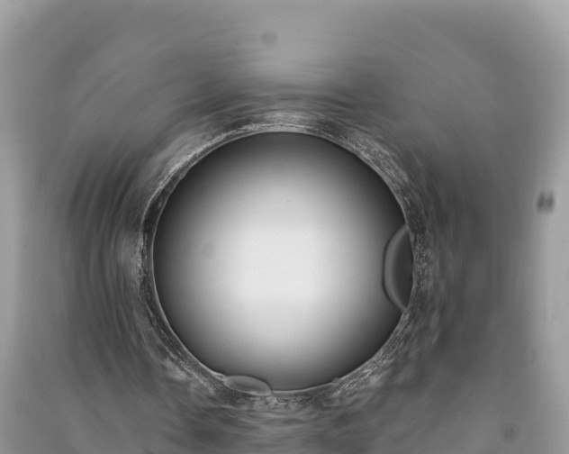 X0000091070338200708131157