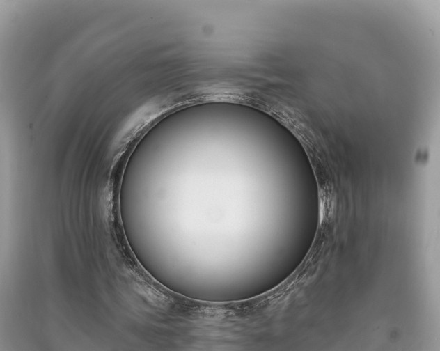 X0000091070339200708131157