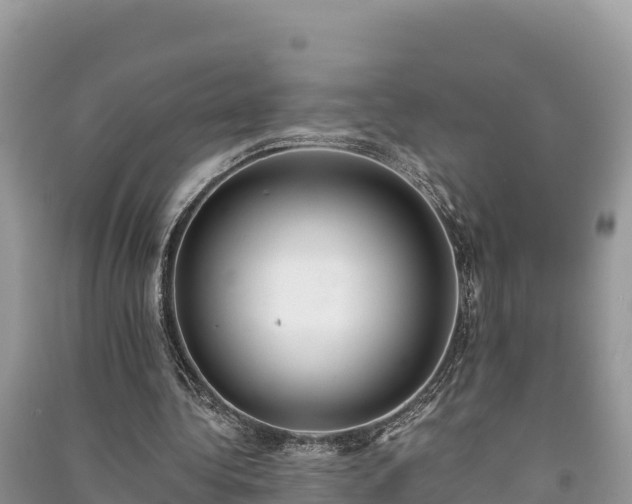 X0000091070340200708131157